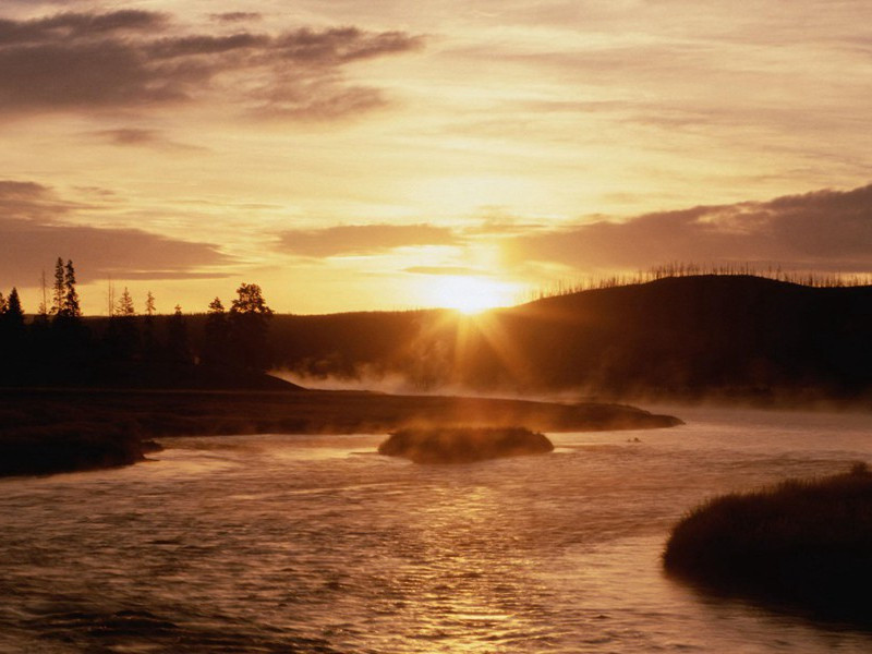 古怪的贪食症-谎诞的女性