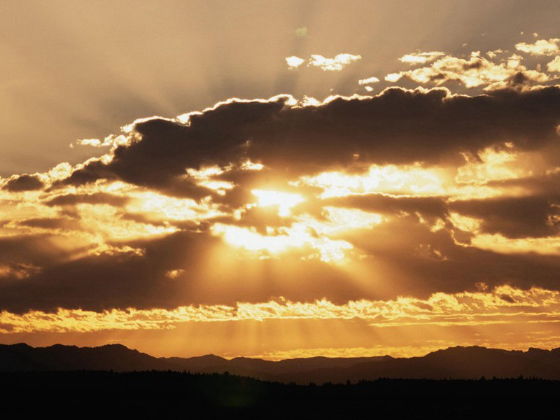 靠人工呼吸器维持生命最长的人-谎诞的女性