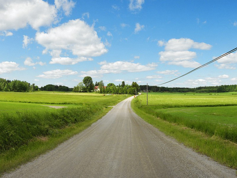 一个爱情战胜死亡的故事-谎诞的女性
