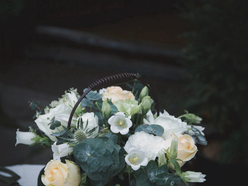 要求再婚的声音-谎诞的女性