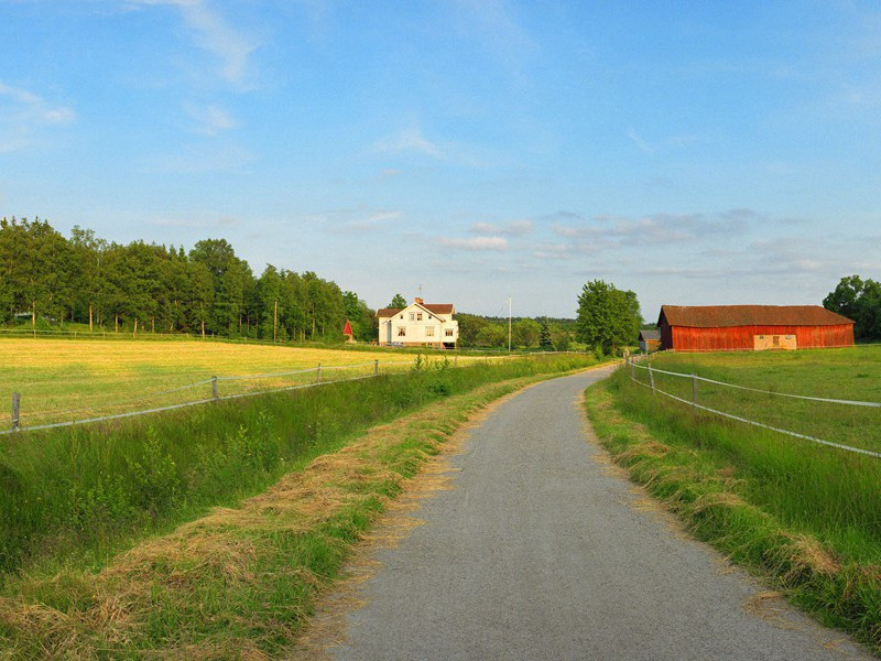老妇人的焚屋遗嘱-谎诞的女性