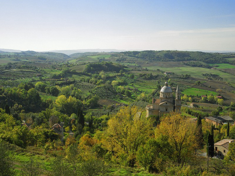 丈夫死后活100多年-谎诞的女性