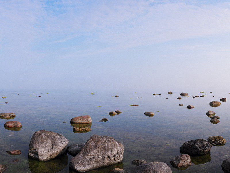 女中丈夫“下”嫁伟男子-谎诞的女性