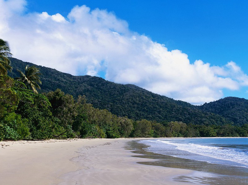 嫁给死人的姑娘-谎诞的女性