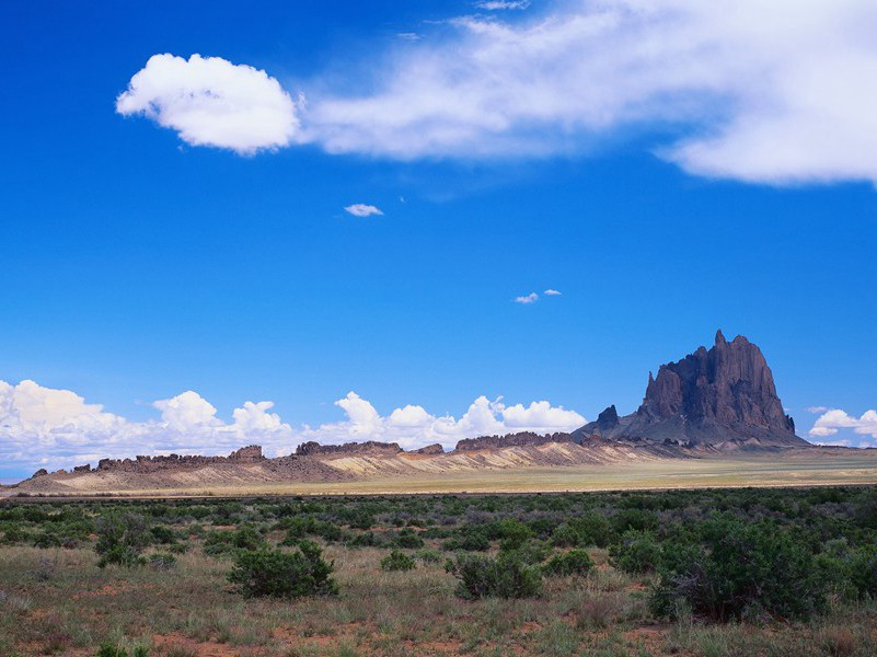 沉默30年的夫人-谎诞的女性
