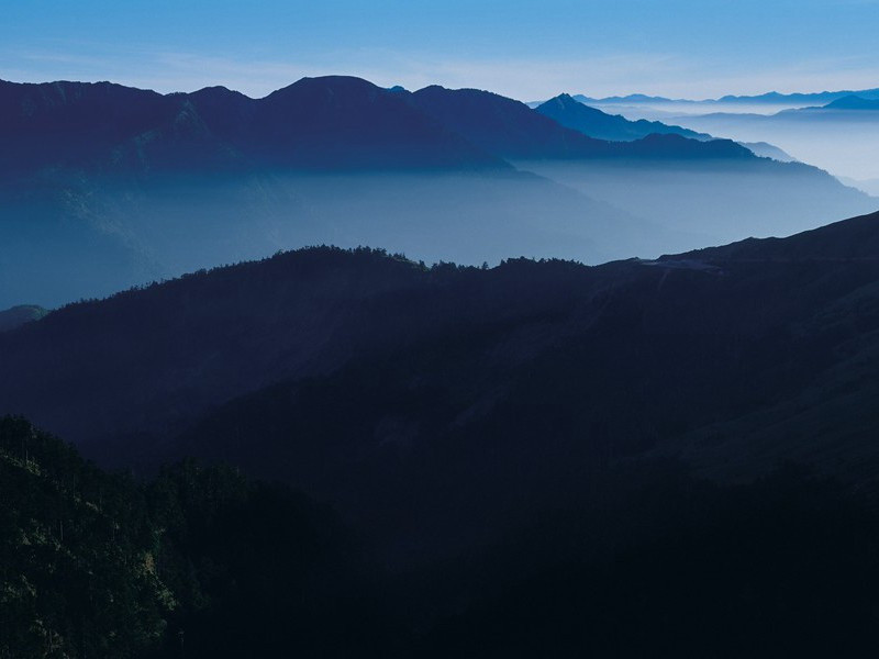 母爱的力量有多大-谎诞的女性