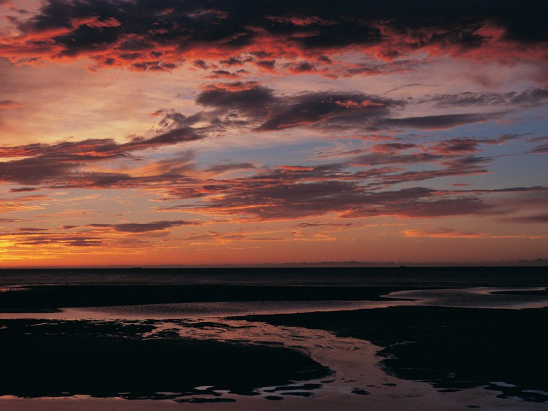 美国妇女保镖公司-谎诞的女性