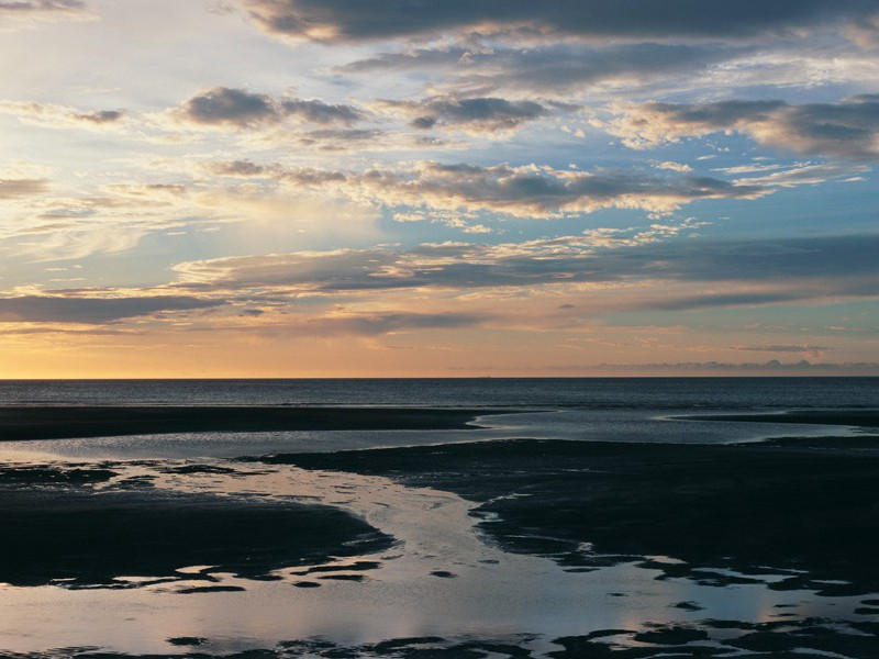 缩骨女人-谎诞的女性