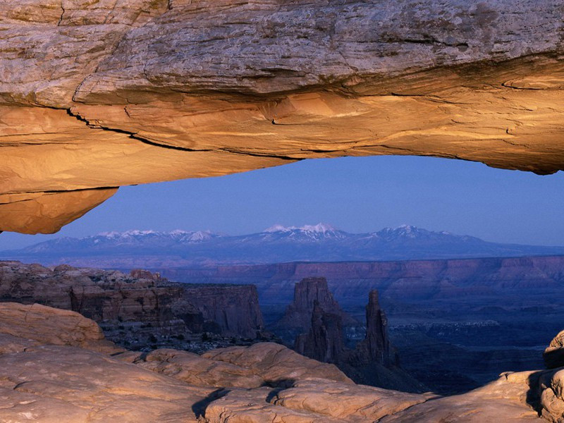 因祸得福的奇人-谎诞的女性