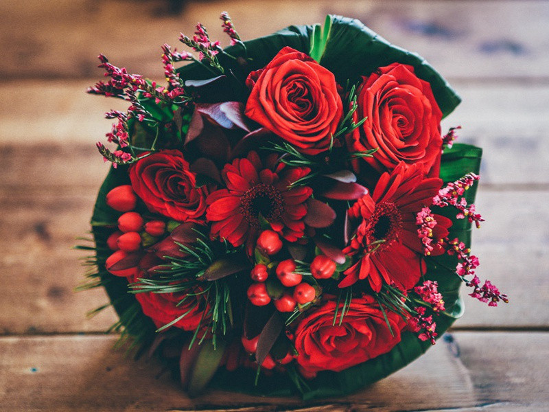 只吃钞票为生的人-谎诞的女性