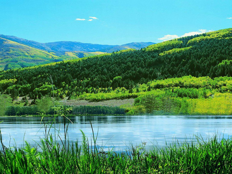 3条腿的演员-奇特的男性