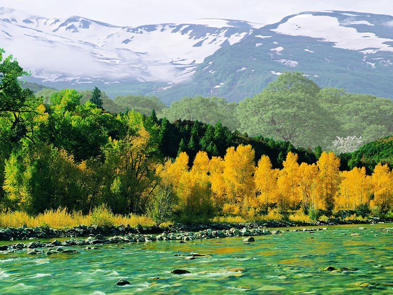 最轻和最重的大脑-奇特的男性