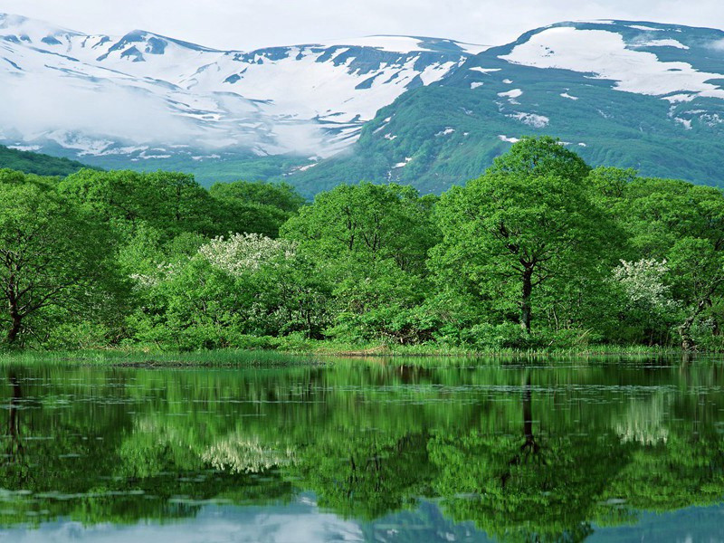最粗的脖子-奇特的男性