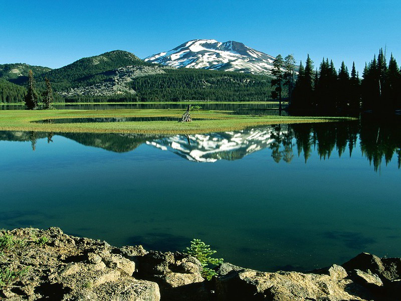最胖的孪生兄弟-奇特的男性