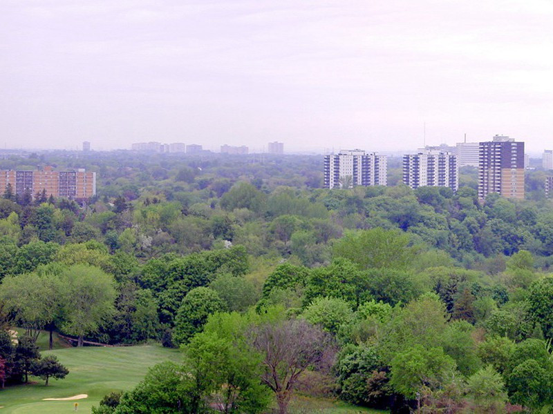 世界最矮的男子-奇特的男性