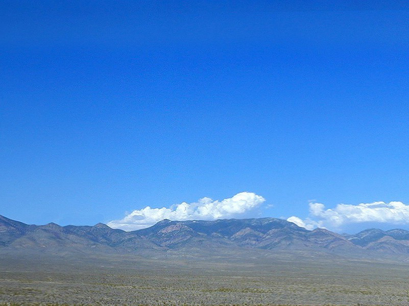最矮的孪生兄弟-奇特的男性