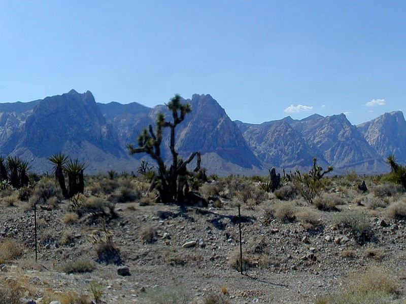 巨人安德雷趣事-奇特的男性