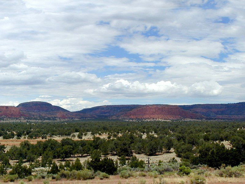 最高的体温-奇特的男性