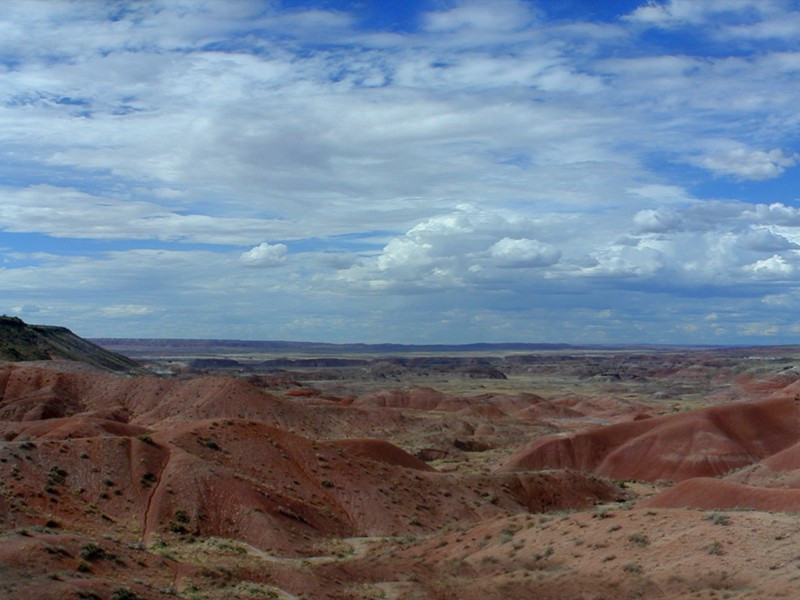 惊人的忍饥饿功能-奇特的男性