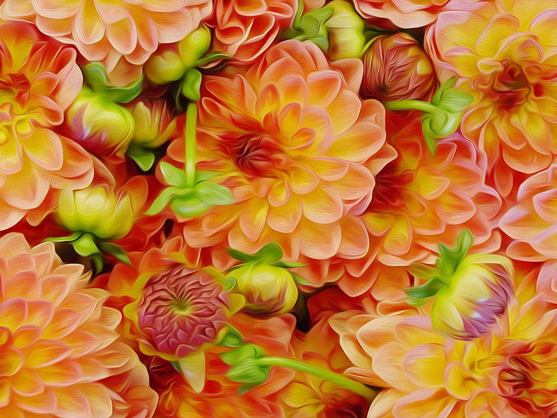 吃木屑的孪生兄弟-奇特的男性