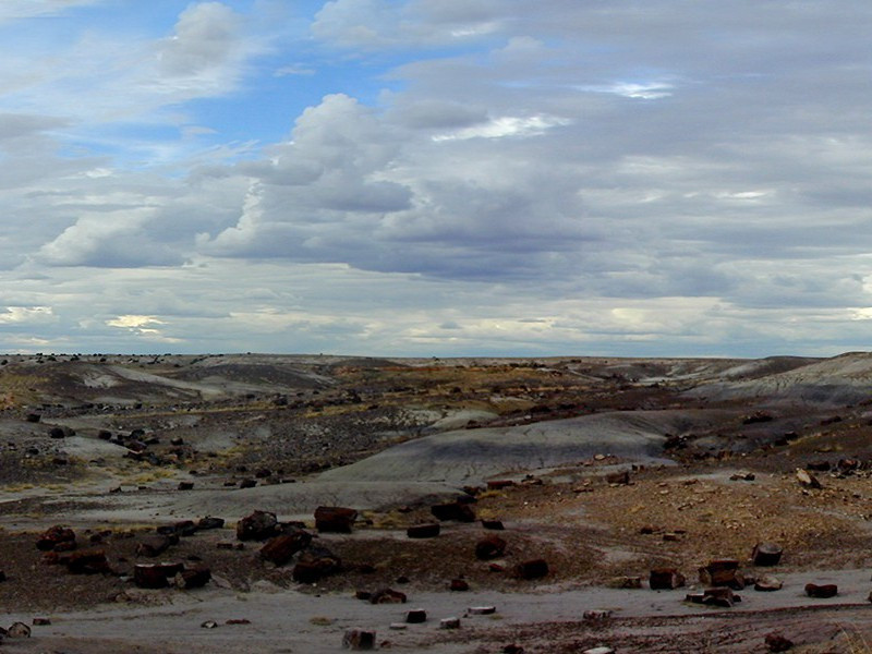 “吞”火者-奇特的男性