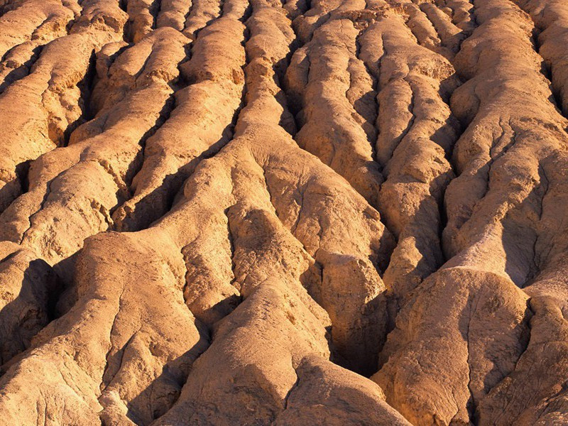 美国牛仔牛脾气宁愿坐牢不脱帽-奇特的男性