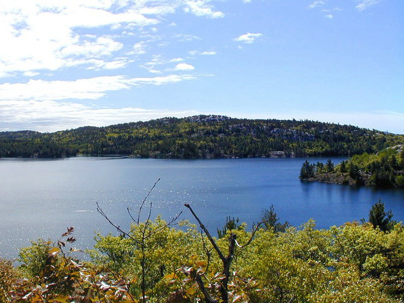指纹收藏家-奇特的男性