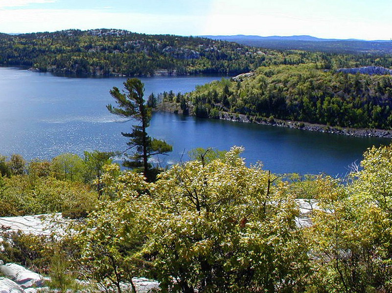 啤酒标签搜集者-奇特的男性