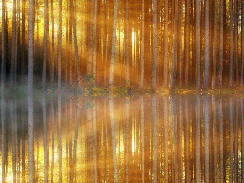 诗仙坠凡尘- 中国历史名人趣事