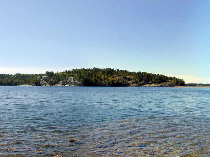 一对“活宝”夫妻-奇特的男性