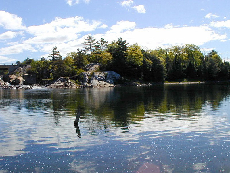 自杀上瘾的人-奇特的男性