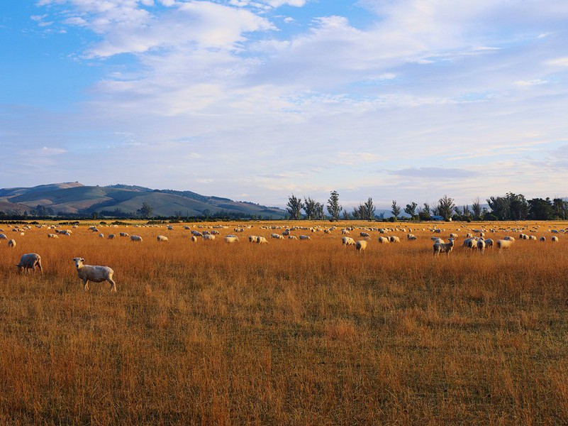 吃橡胶成癖的人-奇特的男性