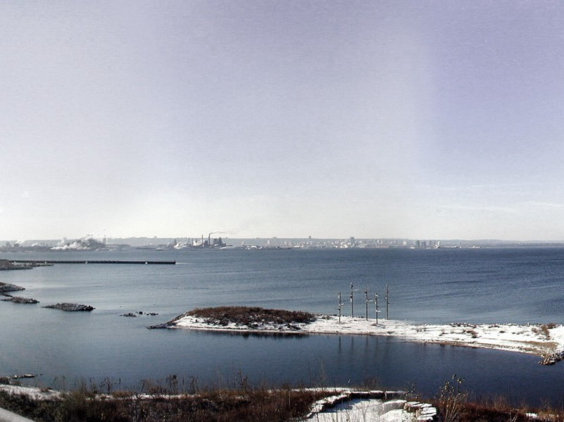 15年吃饭不花钱的职业“白食”-奇特的男性