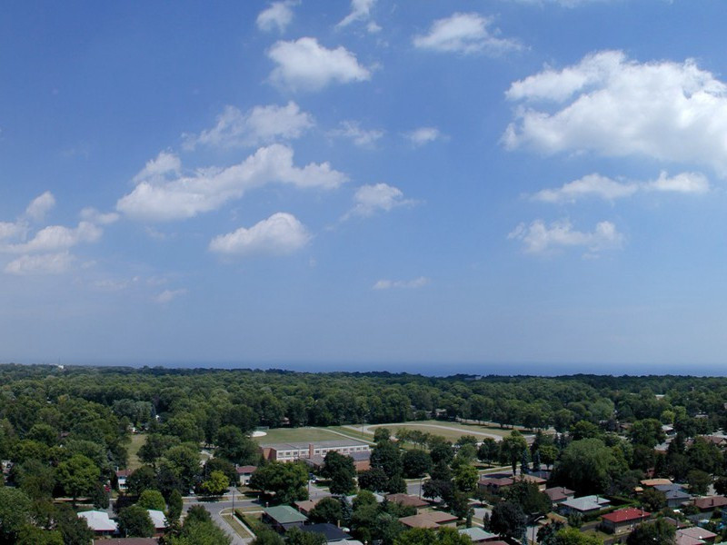 懒得出奇的人-奇特的男性