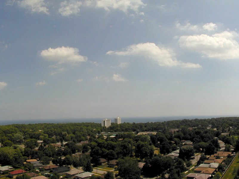 英一大学生喜食大黄蜂-奇特的男性