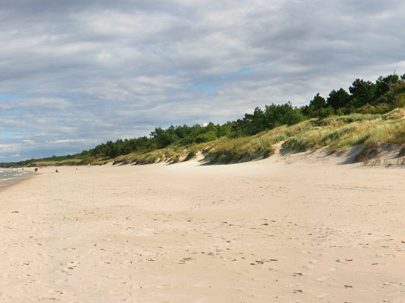 开刀900次阎王仍拒收-奇特的男性