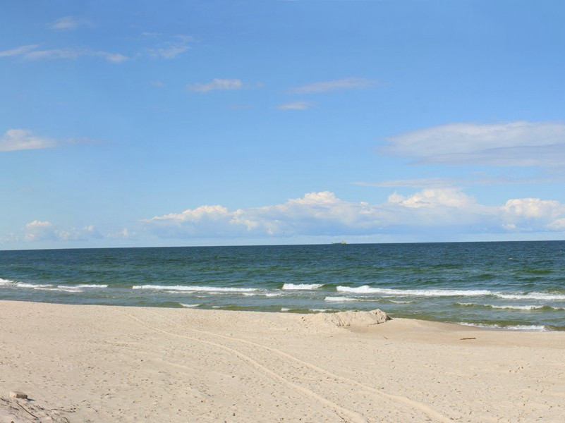 一人救活2000婴儿-奇特的男性