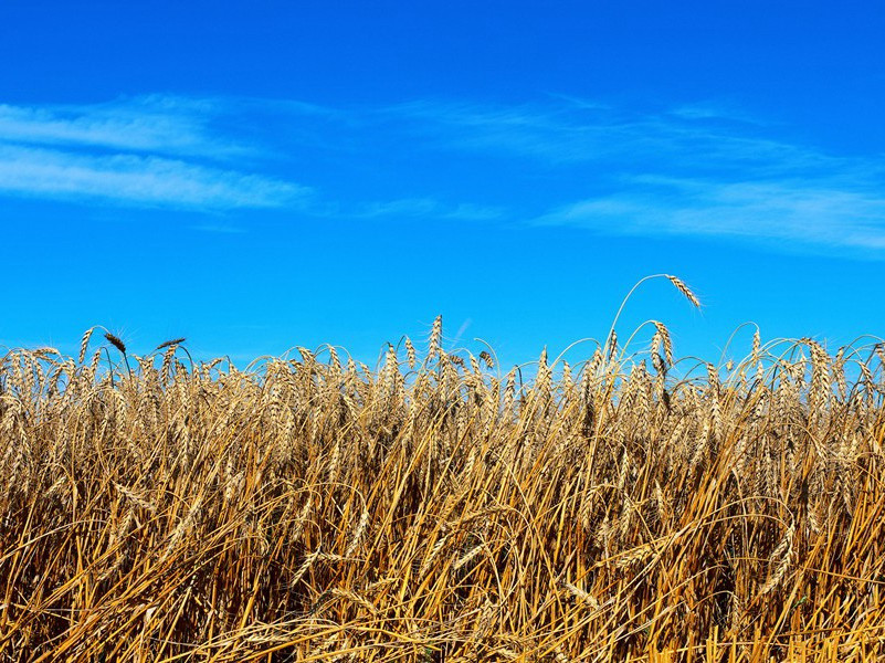 活埋40天生还-奇特的男性