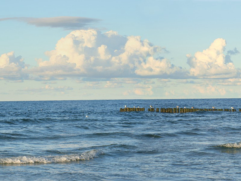前苏联“吸物人”神秘莫测-奇特的男性