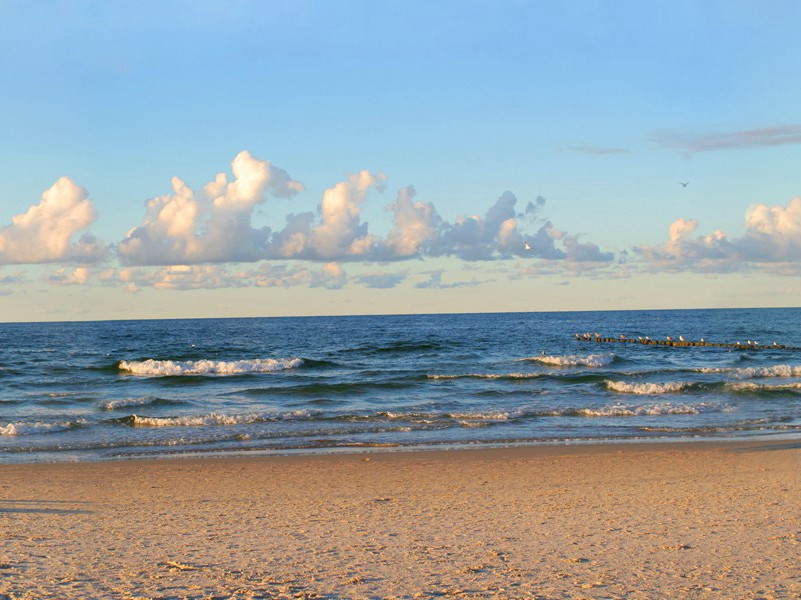 价值百万的“人皮画”-奇特的男性