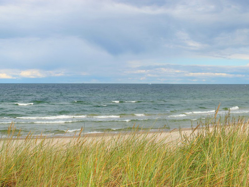 与雷电结冤的人-奇特的男性
