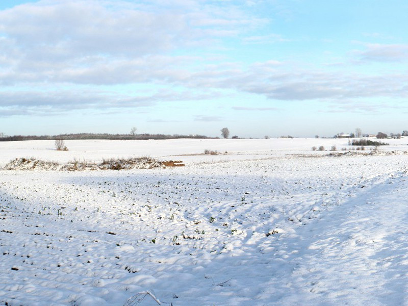 世界上惟一坐过两次电椅的死囚-奇特的男性