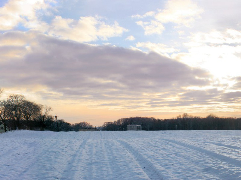 使矮子变高的手术-奇特的男性