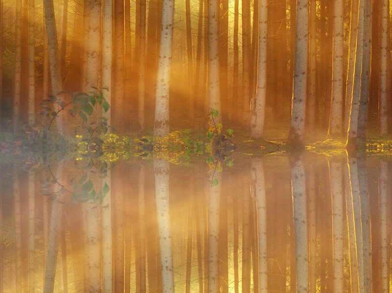 艺术大劫难震撼全欧洲-历史财宝悬案