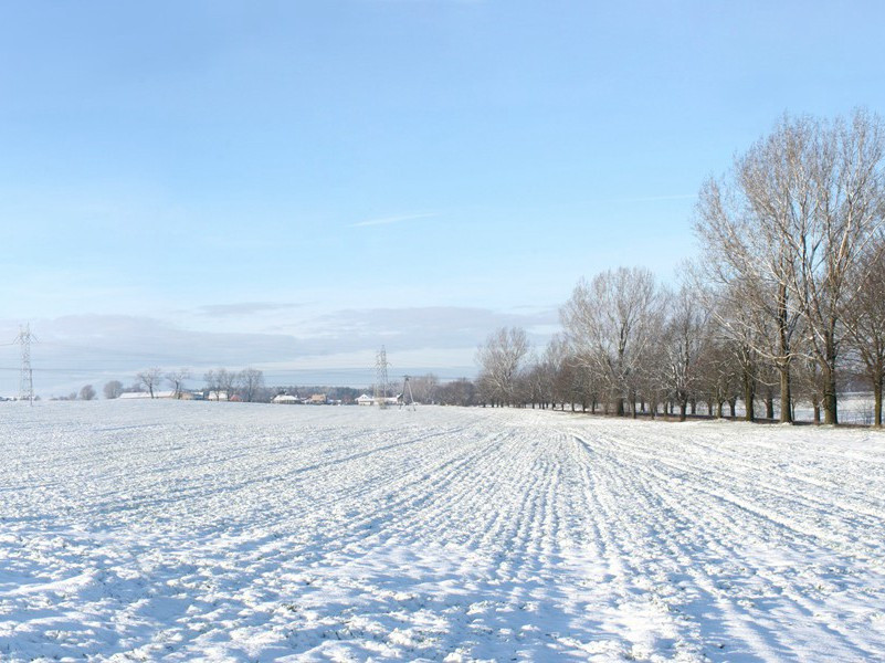 比曾孙还年轻的人-奇特的男性