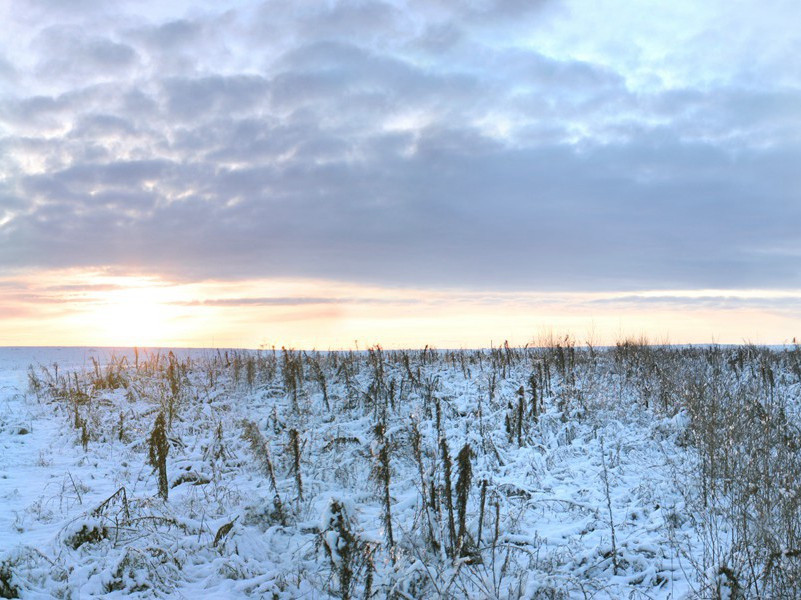 舌断卡咽喉-奇特的男性