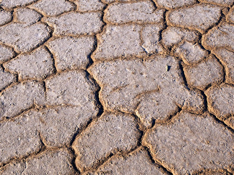 两次大难不死的人-奇特的男性