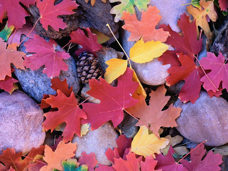 横渡大洋-奇特的男性