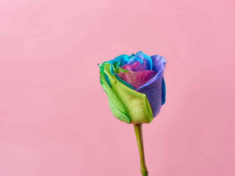 因笑得福穷汉变富翁-奇特的男性