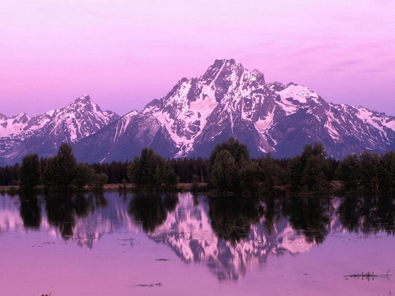 太空废物击伤人-奇特的男性